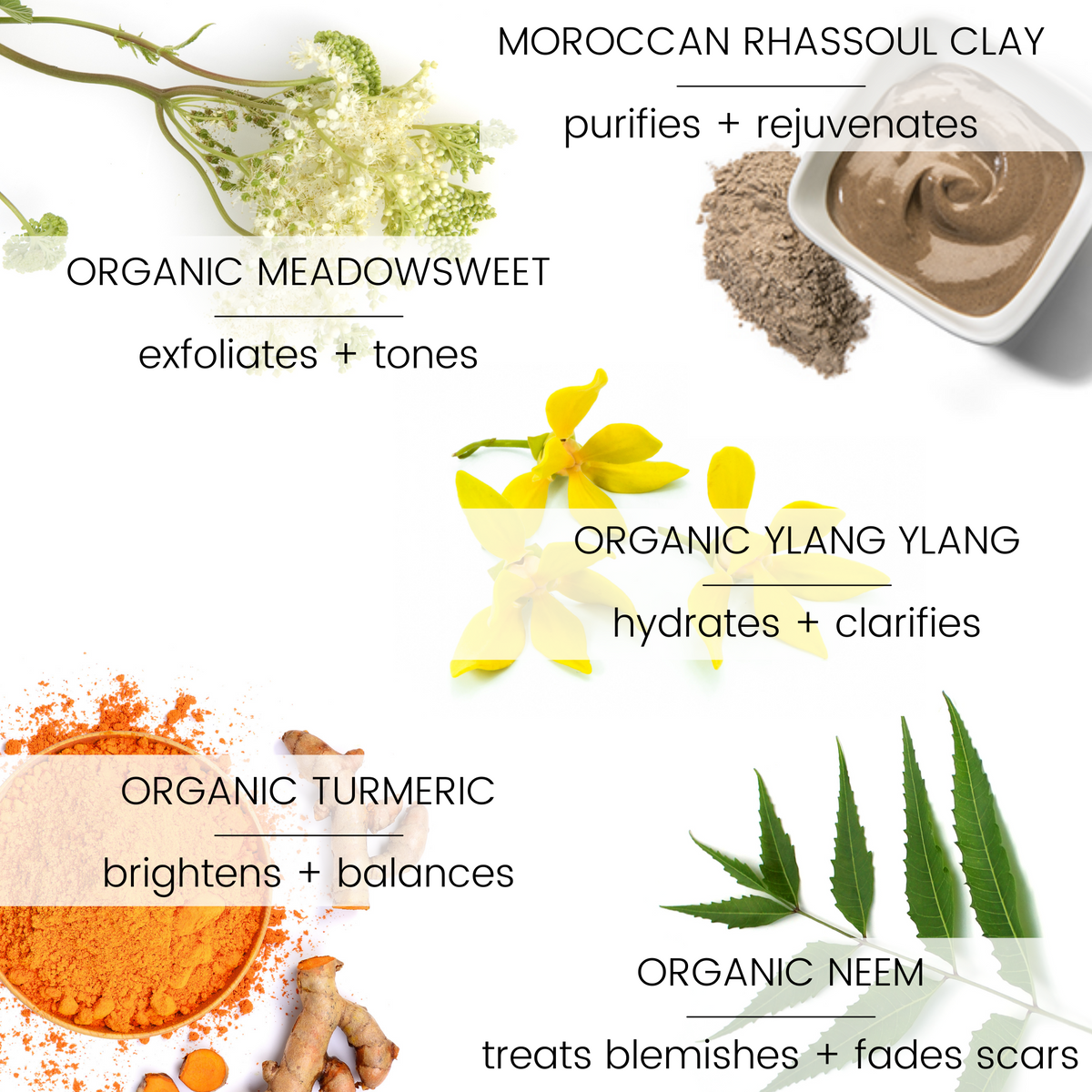 Clarity Turmeric & Neem Moroccan Clay Mask